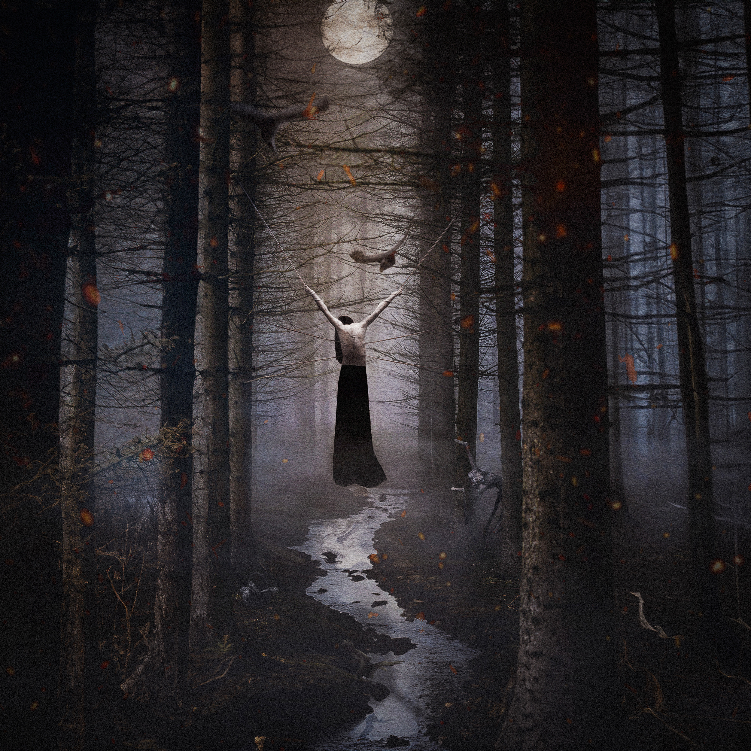 Compositing Forêt